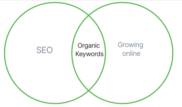 badger's venn diagram on SEO